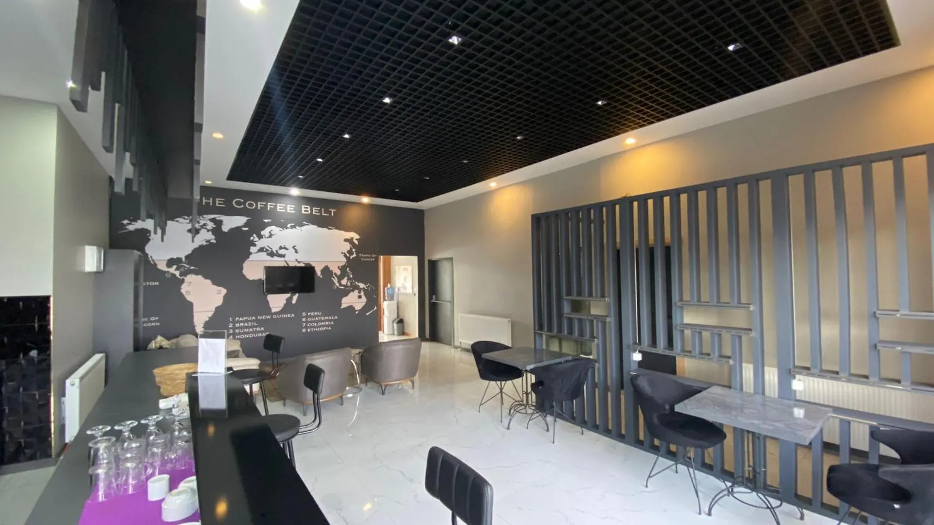 Continental Airport Hotel Istanbul Tyrkiet
